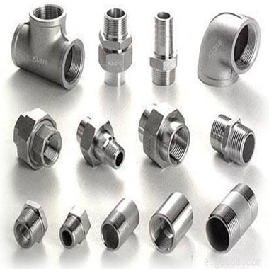 309 Stainless Steel Forged Fittings