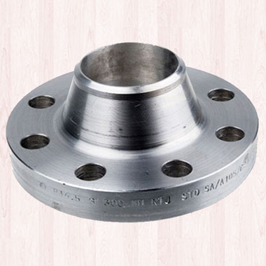 317 Stainless Steel Flanges